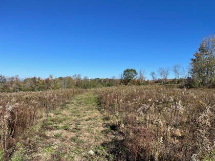 NY hunting land for sale - southern tier