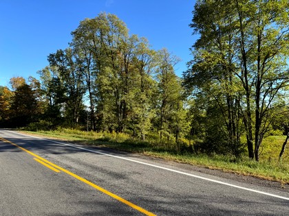 NY southern tier hunting land for sale