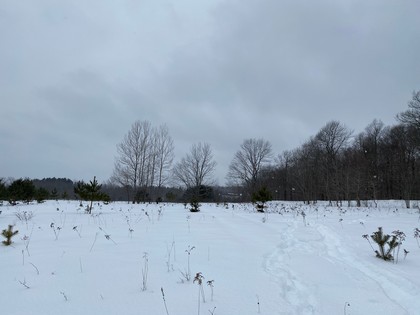 NY hunting land for sale Southern Tier NY 