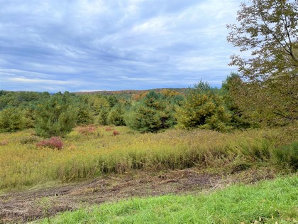 NY land for sale Catskills area