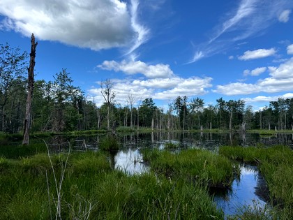 NY land and camp for sale