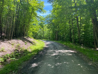 Southern Tier NY hunting property in New Lisbon, NY