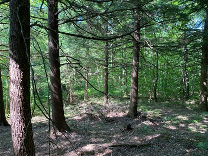 NY land for sale in Florence NY