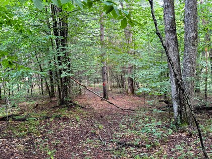 Adirondack riverfront land for sale