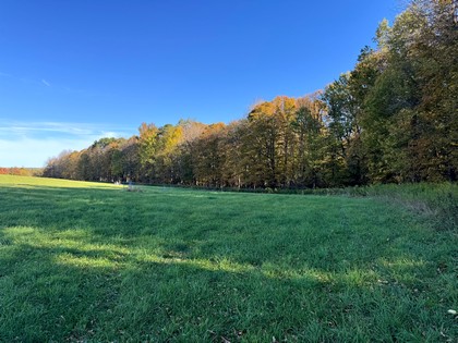 NY southern tier hunting land for sale