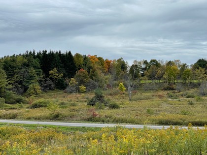 Catskills NY land for sale