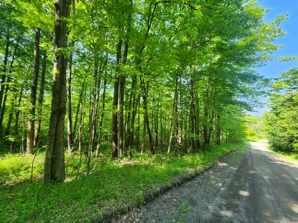 NY hunting land for sale