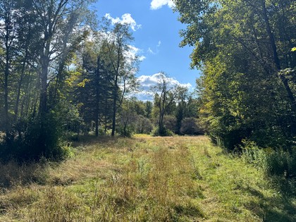NY hunting camp for sale