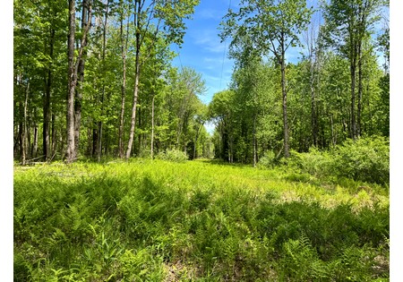 Upstate NY land for sale