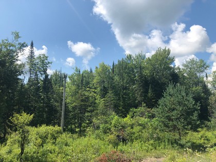 Adirondack land for sale in forestport, ny