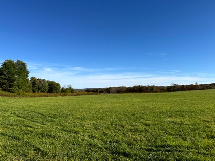 NY Southern tier NY hunting land for sale