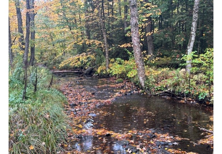 NY hunting camps for sale