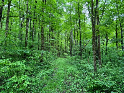 NY log cabin for sale