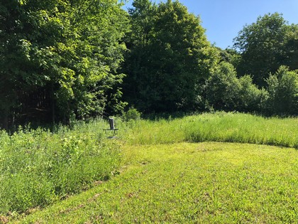 NY southern tier land for sale