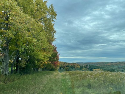 NY land for sale near Catskills