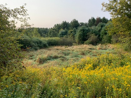 NY land for sale Florence NY