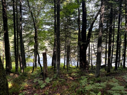 NY Adirondack land for sale