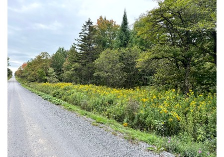 NY hunting land for sale