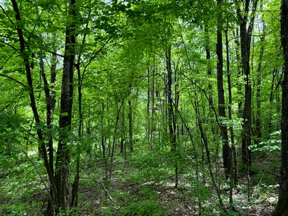 NY land for sale