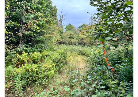 NY hunting land