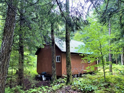 Adirondack camp for sale, cabins, land and camps, ny properties, ny camps sale, Adirondack camps for sale, christmas associates