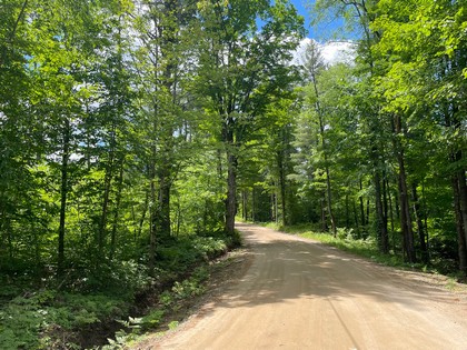 NY Adirondack hunting land for sale