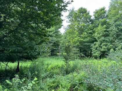 NY hunting land for sale