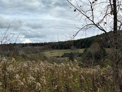 NY waterfront land for sale in Broome County NY