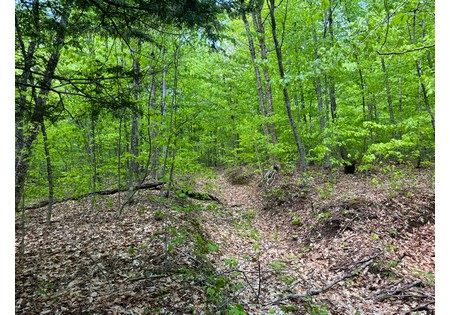 Adirondack land for sale
