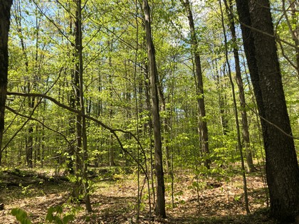 NY building lot for sale in Croghan near Adirondacks