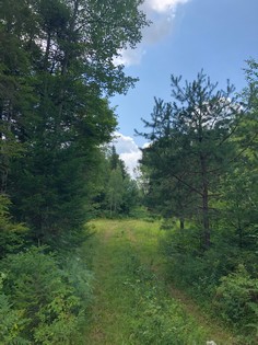 Adirondack land for sale Forestport, NY