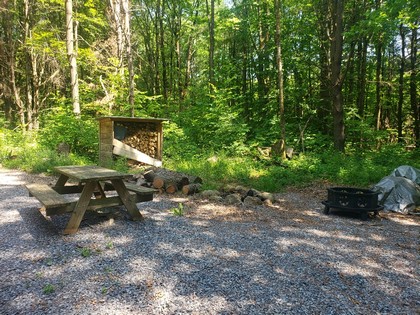 Adirondack camps for sale NY