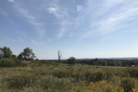 hunting land for sale in florence ny sunset views from land and camps