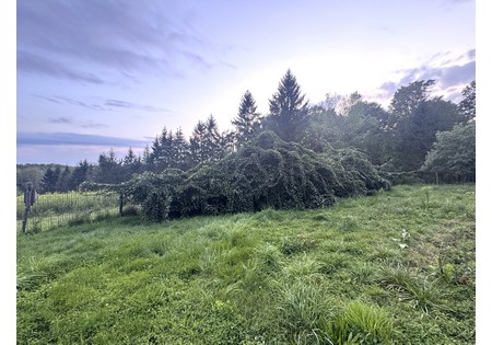 Finger Lakes NY homes for sale