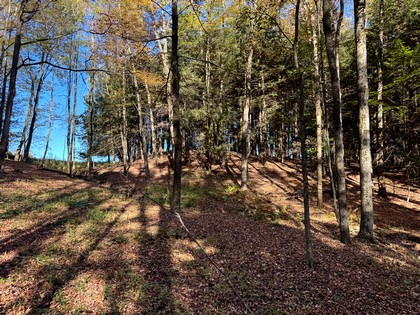 NY southern tier hunting land for sale