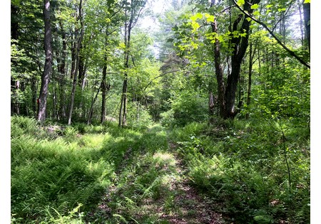 Camps for sale Williamstown NY