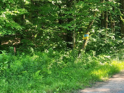 NY land and camps for sale