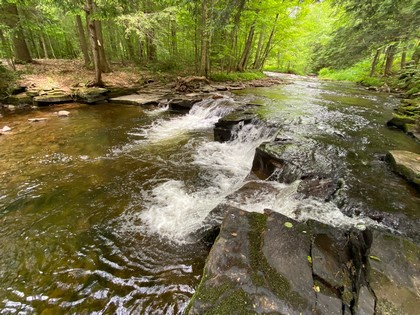 NY waterfront land for sale on Prince Brook