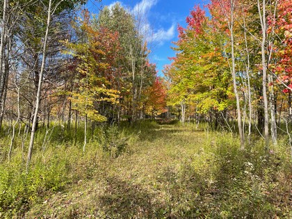 NY waterfront land for sale 