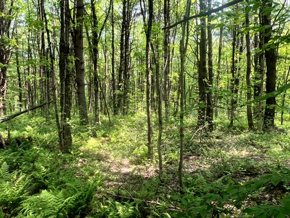 NY land for sale