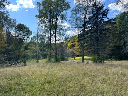 NY hunting camp for sale