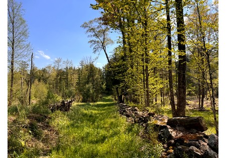 Tug Hill NY land for sale