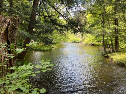 NY waterfront land for sale, land and camps, ny waterfront properties, ny lakefront land, christmas associates