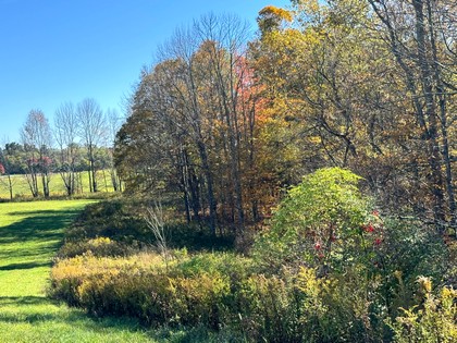 NY Southern Tier hunting land for sale