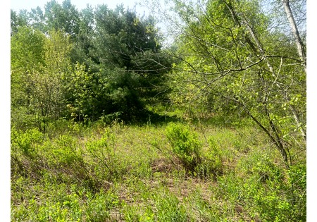Land for sale NY