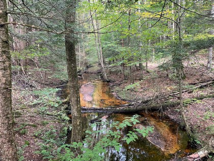 NY land sale near Oneida Lake