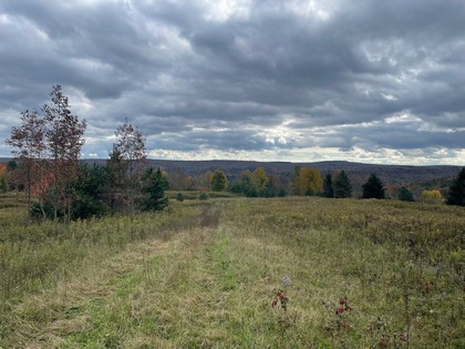 NY land sale southern tier