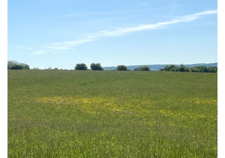 NY Southern Tier hunting land for sale