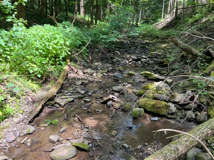 NY land for sale