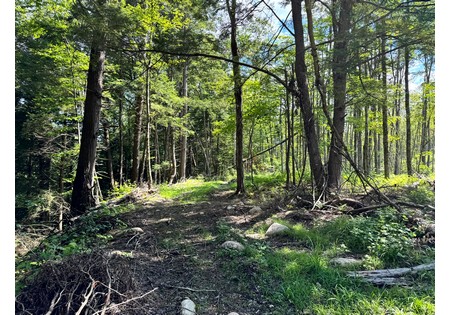 NY hunting land for sale